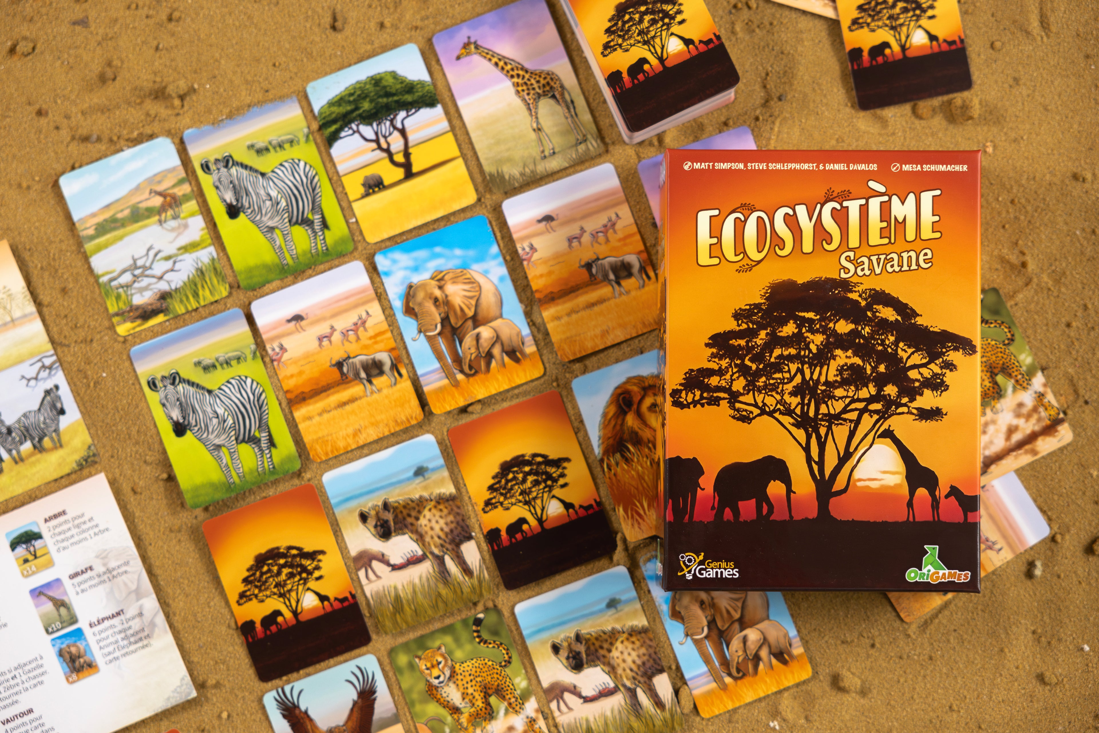 ECOSYSTEME – Savane