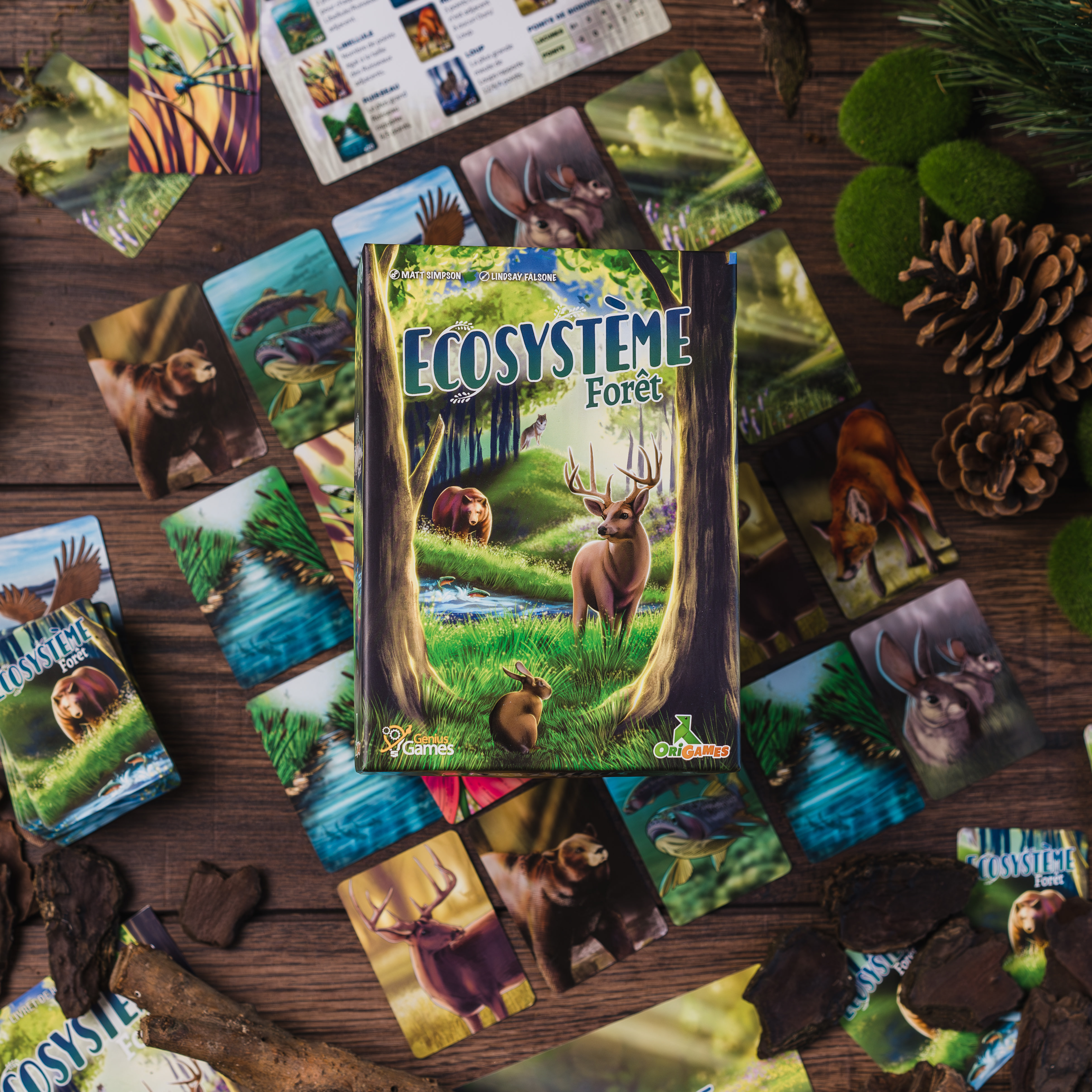 ECOSYSTEME – Forêt