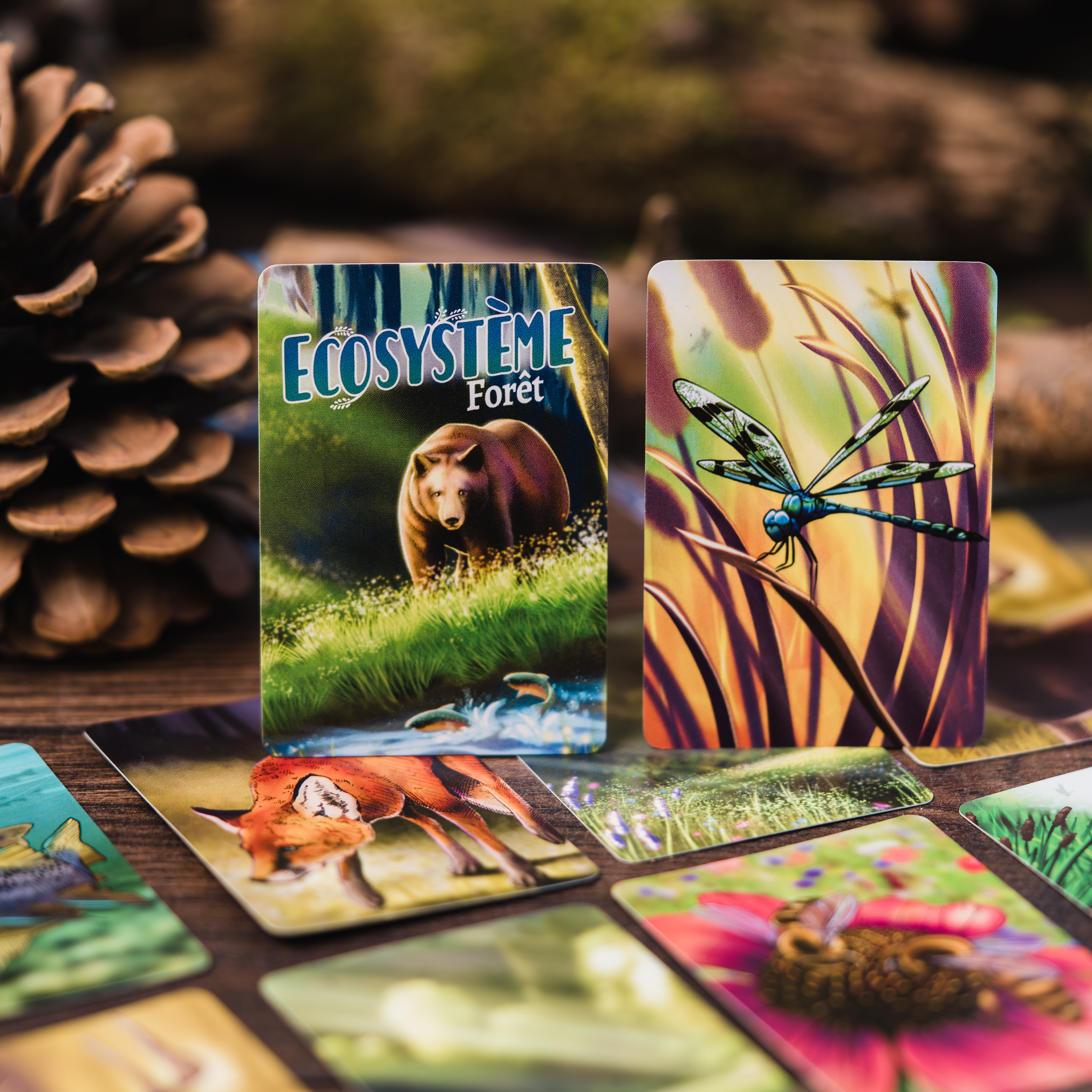 ECOSYSTEME – Forêt