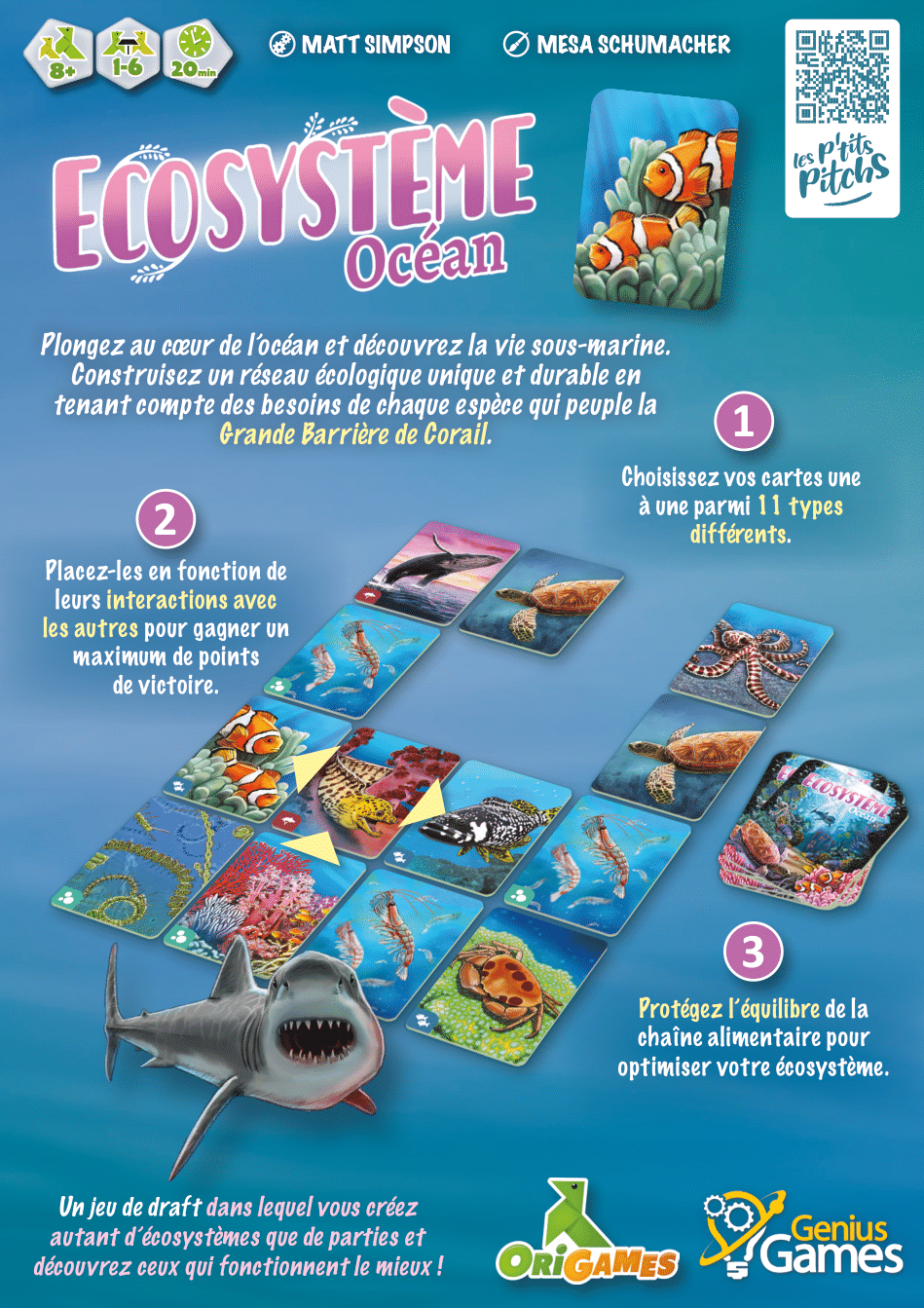 ECOSYSTEME – Océan