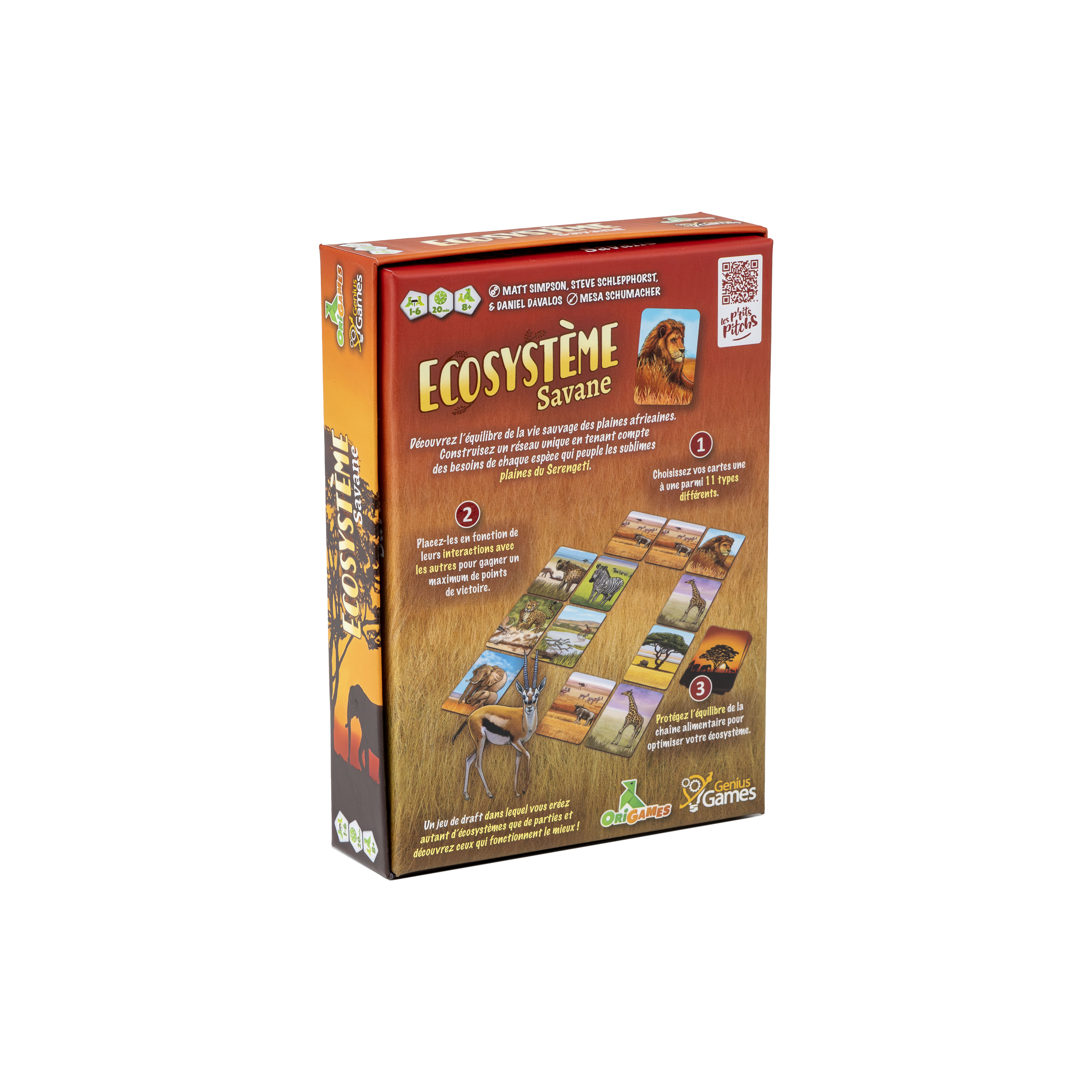 ECOSYSTEME – Savane