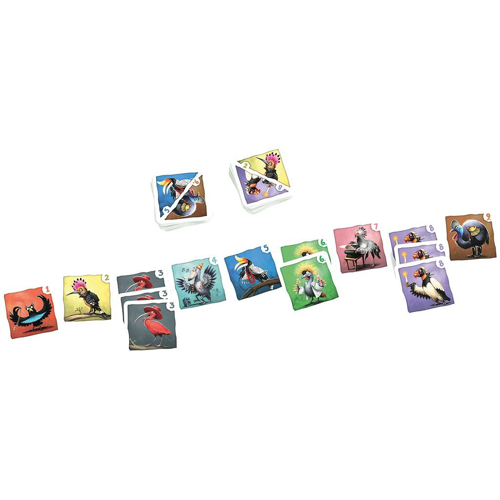 CRAZY BIRDS