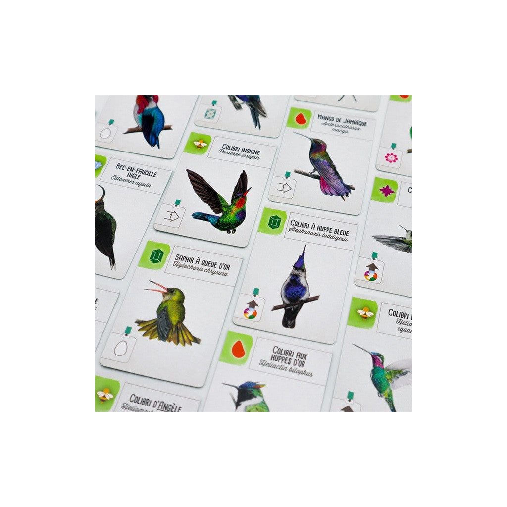 Wingspan - Extension Amériques